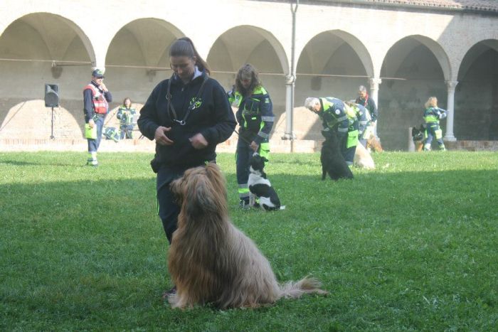 Ch. Contra la Corriente Velmond