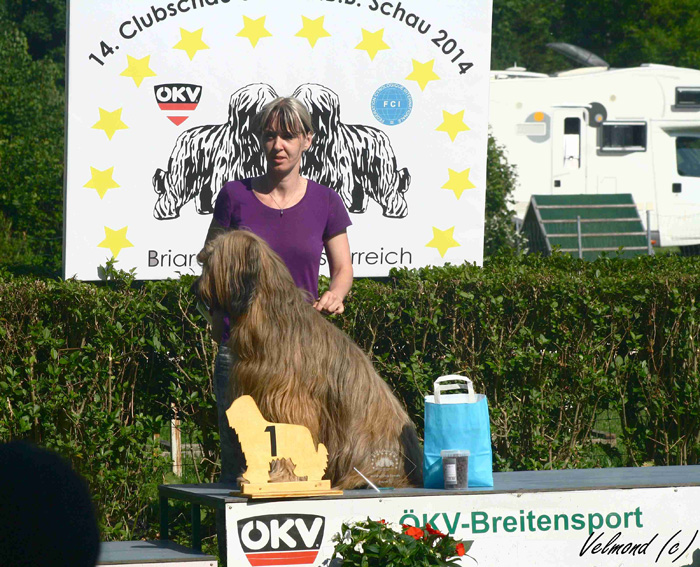 Briard Bheimkirchen