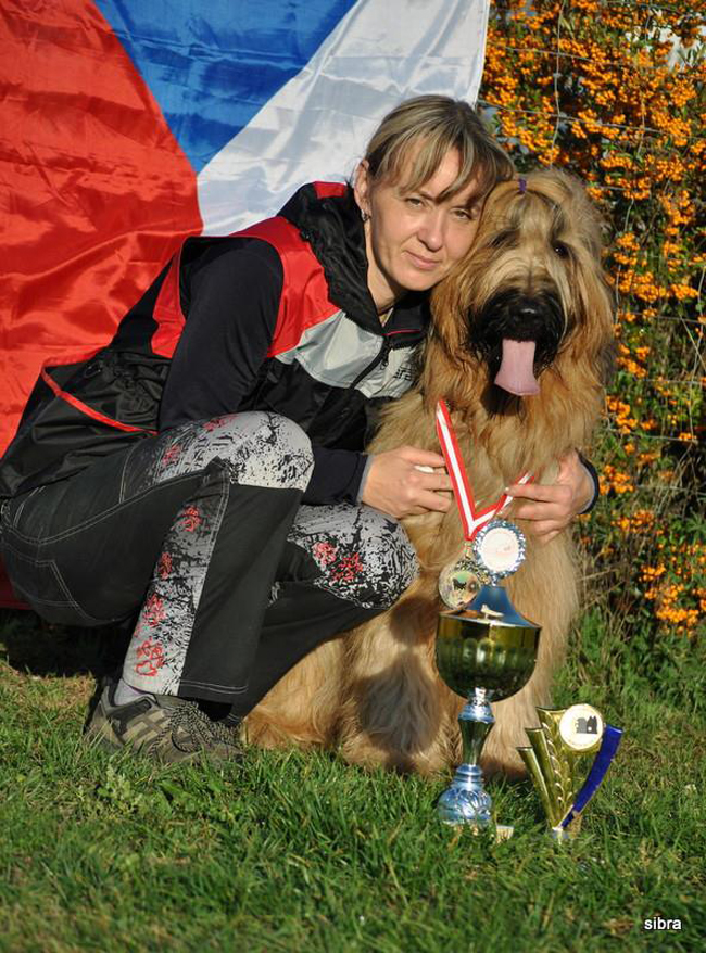 Briard - World championship of french sheepdogs