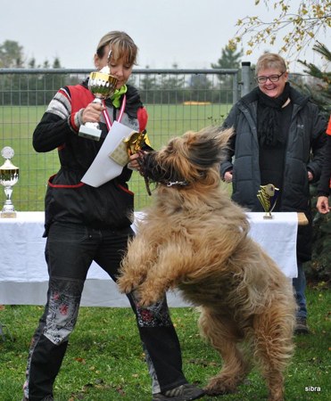 Briard - World championship of french sheepdogs