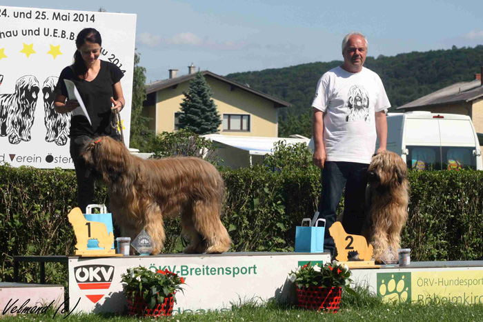 Briard Bheimkirchen