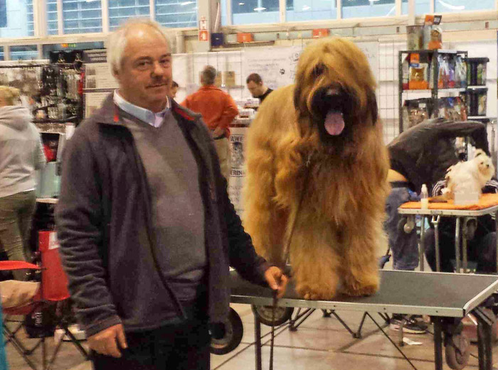 Briard CACIB Rijeka